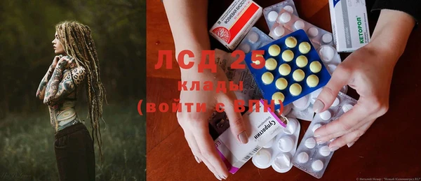 ГАЛЛЮЦИНОГЕННЫЕ ГРИБЫ Верея