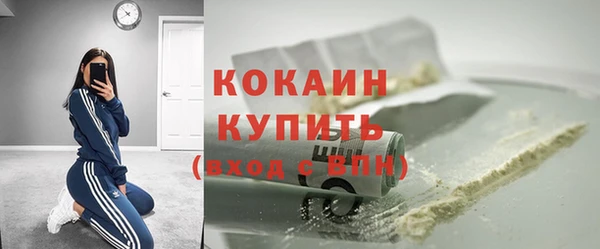 ГАЛЛЮЦИНОГЕННЫЕ ГРИБЫ Верея