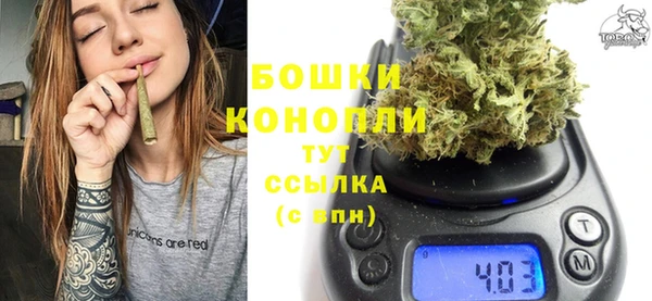 ГАЛЛЮЦИНОГЕННЫЕ ГРИБЫ Верея
