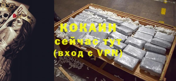 ГАЛЛЮЦИНОГЕННЫЕ ГРИБЫ Верея