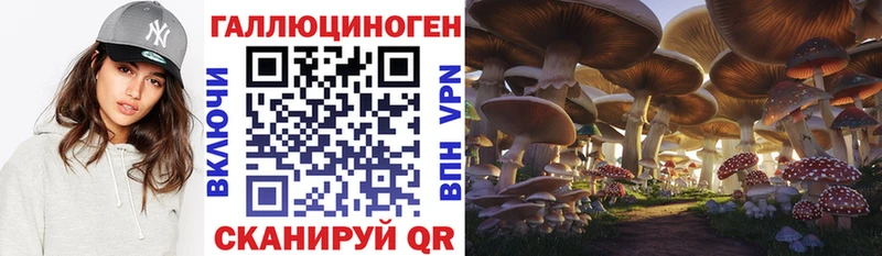 Галлюциногенные грибы ЛСД  сколько стоит  Нюрба 